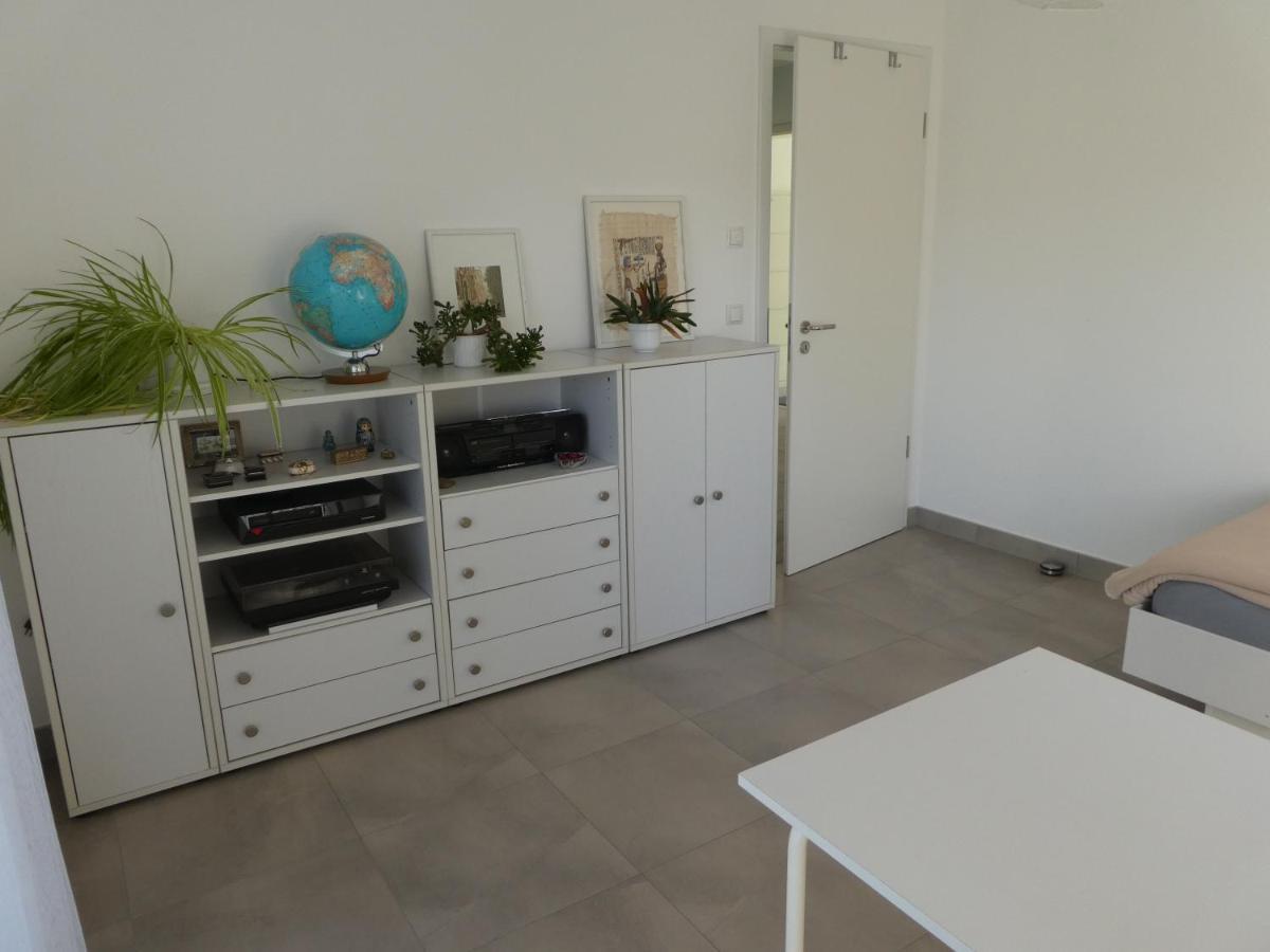 Grosszuegige,Zetrumsnahe Wohnung Dresden Eksteriør billede